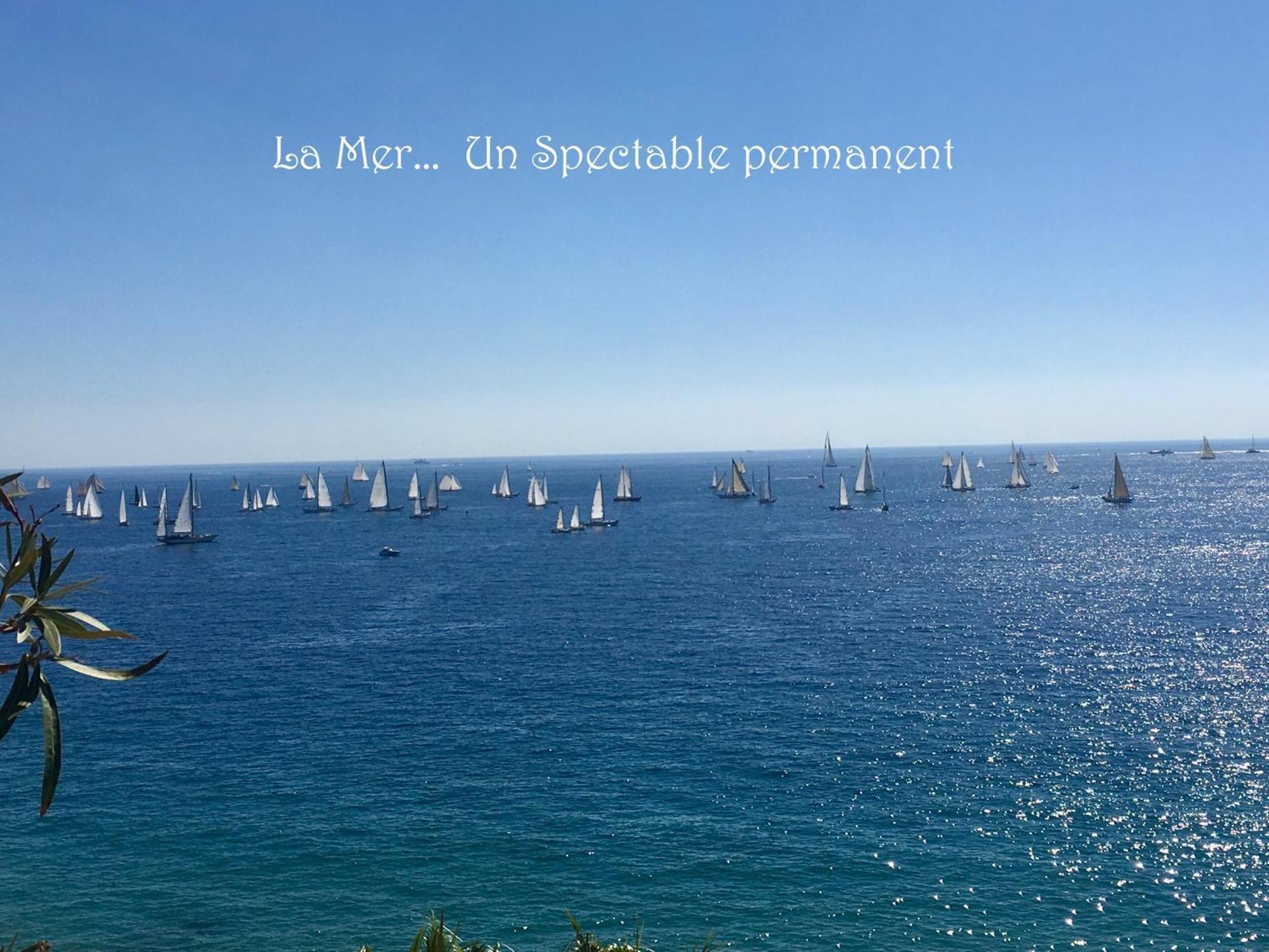 Toitmer Apartment Cannes