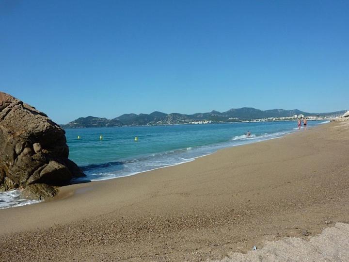 Toitmer * Cannes
