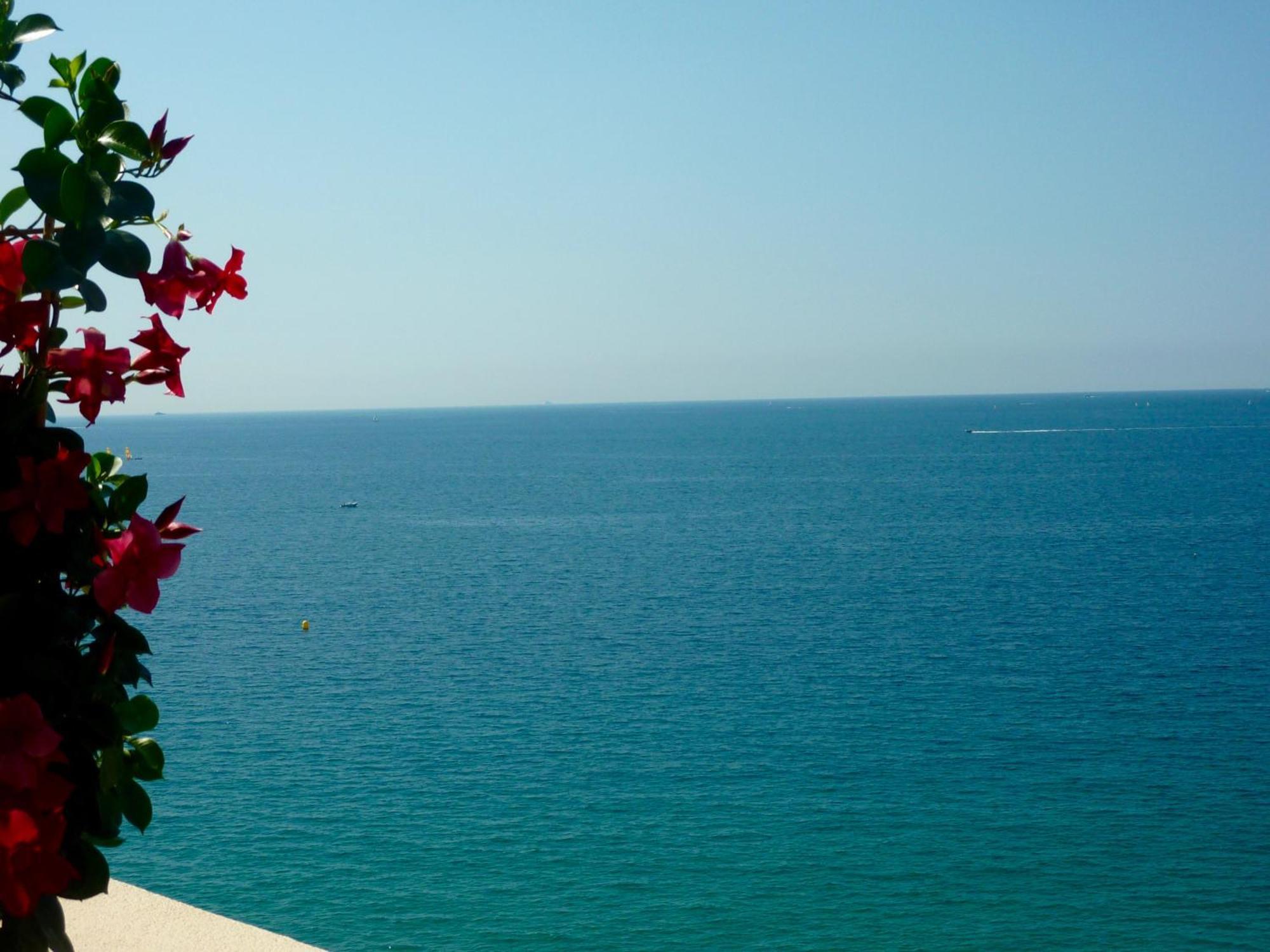 Toitmer Cannes